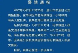 最新唐山爆料案件,真相与争议交织的街头暴力事件